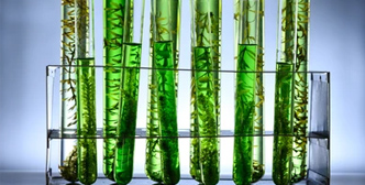 Anwendung von Bioreaktor Fermenter in Biokraftstoffe und erneuerbare Energien